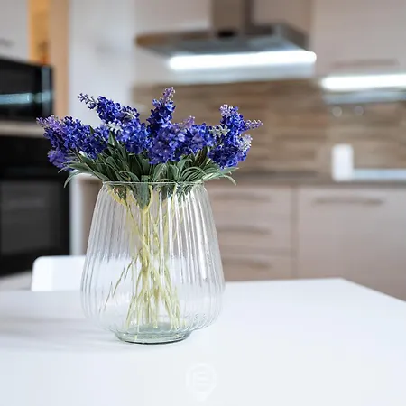 Le Scale Sul Porto *