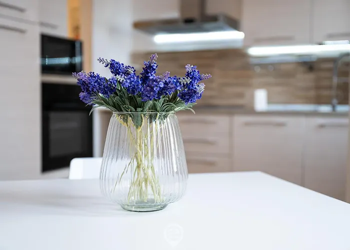 Le Scale Sul Porto *